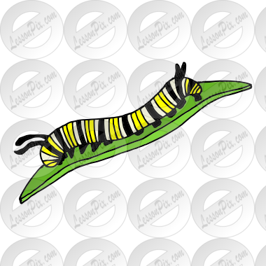 Monarch Caterpillar Clipart