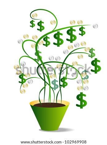 Money Plant Flower