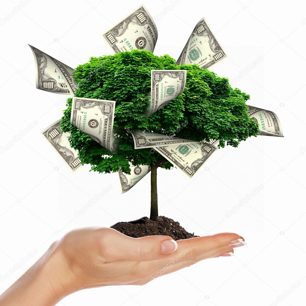 Money Tree