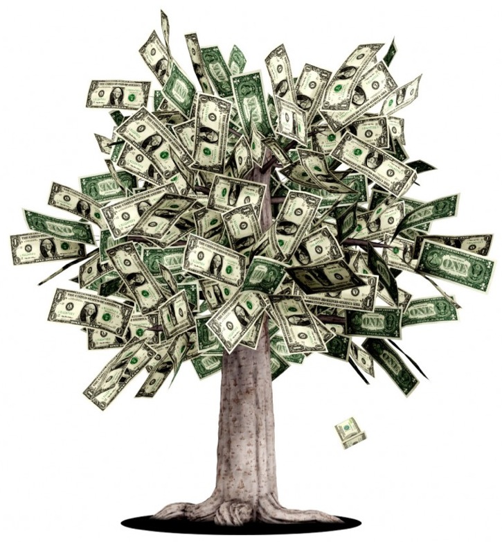 Money Tree