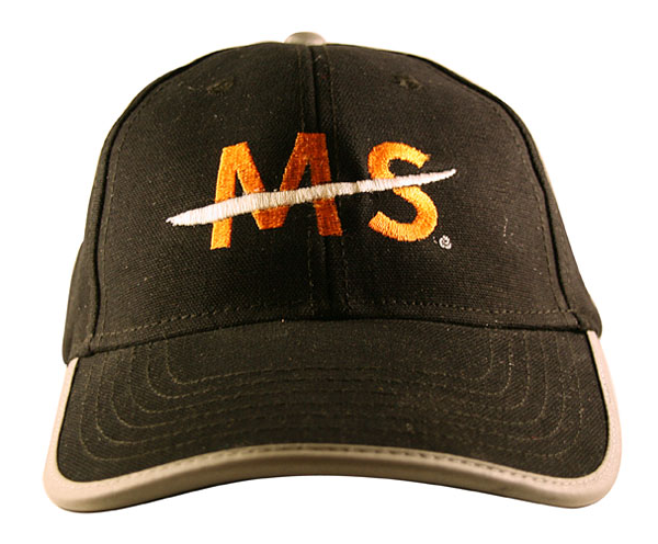 National Ms Society Logo