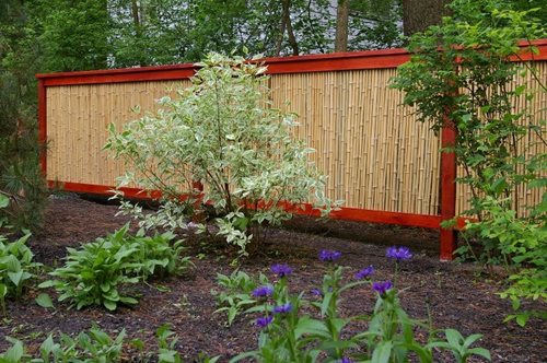 Natural Privacy Fence Ideas