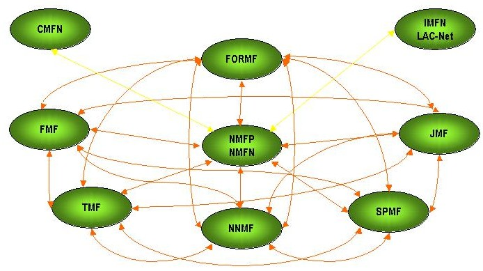 Network Governance Model