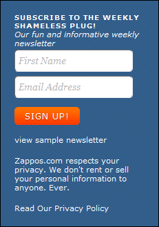 Newsletter Signup Form Examples