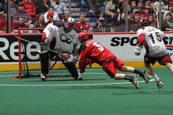 Nll Goalie Fight