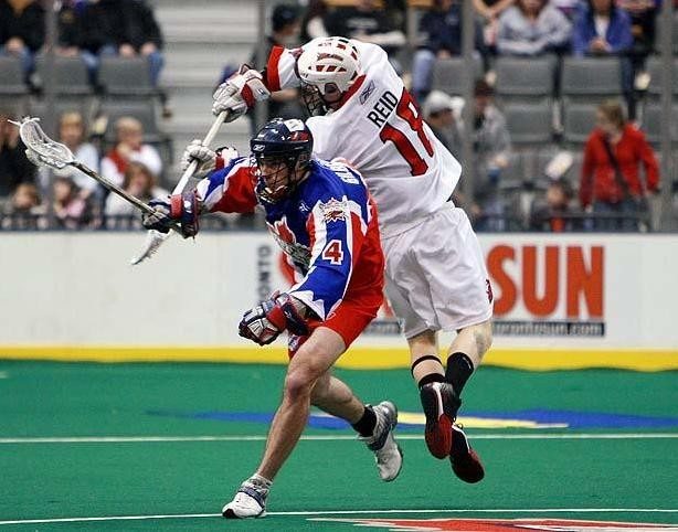 Nll Goalie Fight