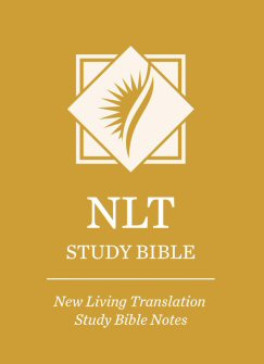 Nlt Study Bible