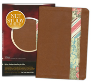 Nlt Study Bible