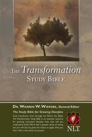 Nlt Study Bible Review