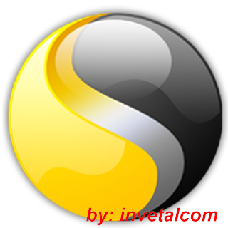 Norton Internet Security Icon