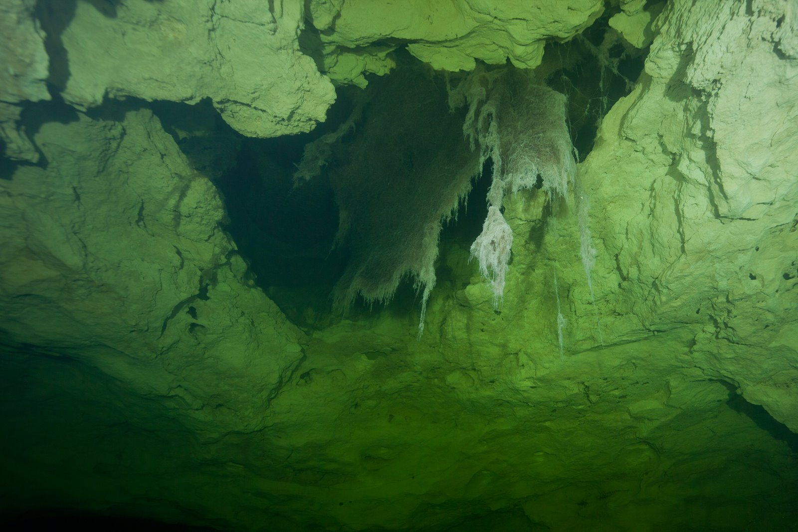 Nullarbor Caves Australia