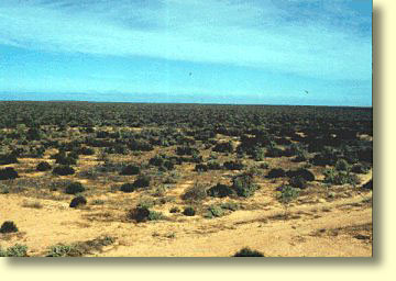 Nullarbor Caves Map