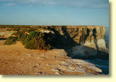 Nullarbor Roadhouse Caravan Park