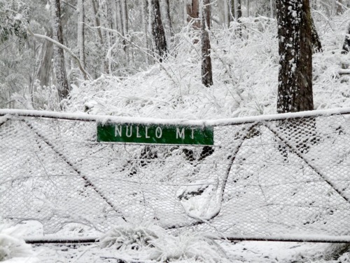 Nullo Mountain Road