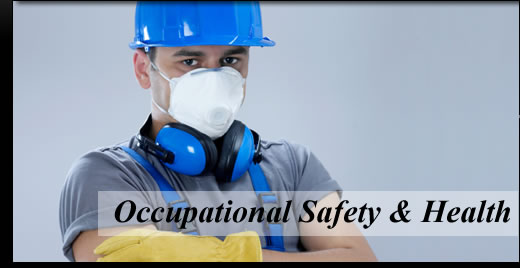 Occupational Health And Safety Logo