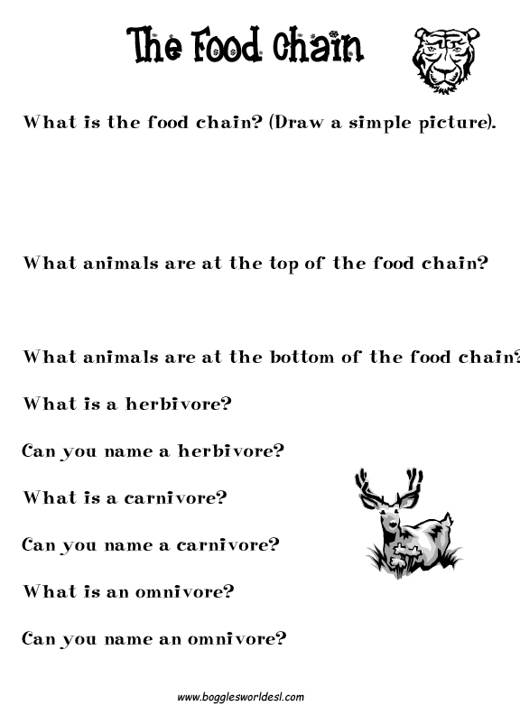 Ocean Food Chain Worksheet