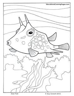 Ocean Food Chain Worksheet