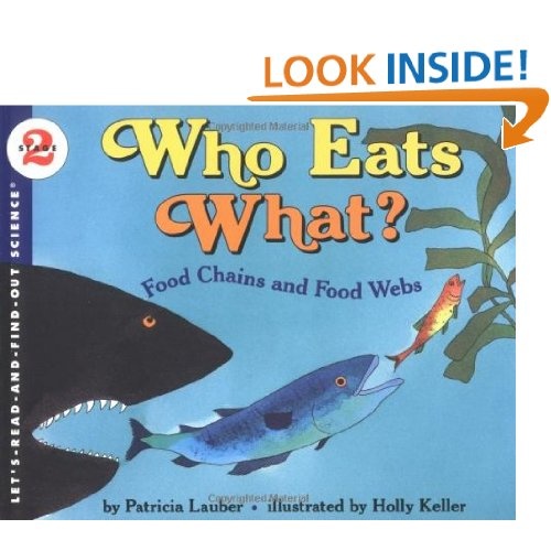 Ocean Food Chains For Kids