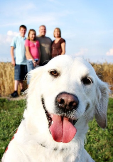 Photobomb Dog