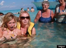 Photobomb Stingray