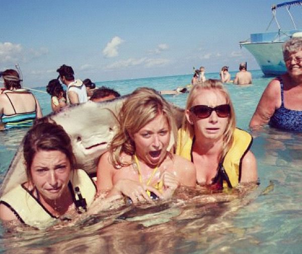 Photobomb Stingray