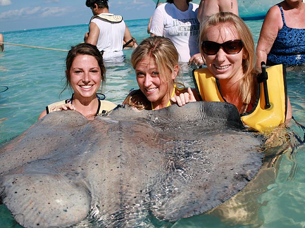 Photobomb Stingray Meme