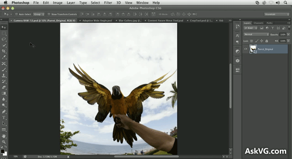 Photoshop Free Download Full Version Windows 7