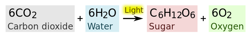 Photosynthesis Equation What Is Oxidized