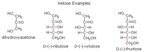 Photosynthesis Equation What Is Oxidized