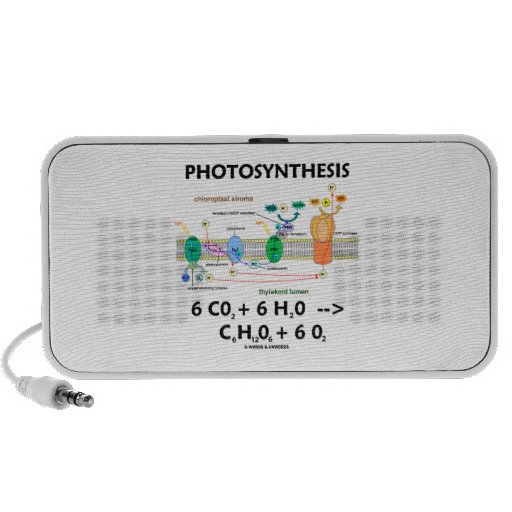 Photosynthesis Formula