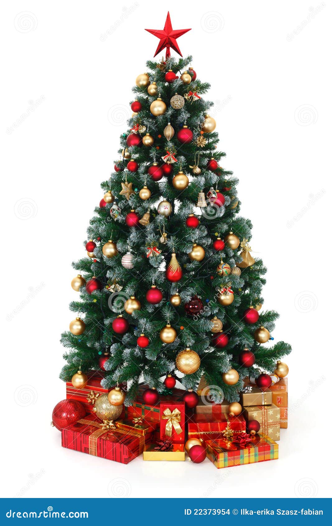 Pictures Of Christmas Trees With Presents Under It