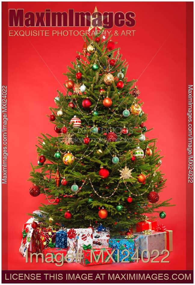 Pictures Of Christmas Trees With Presents Under It