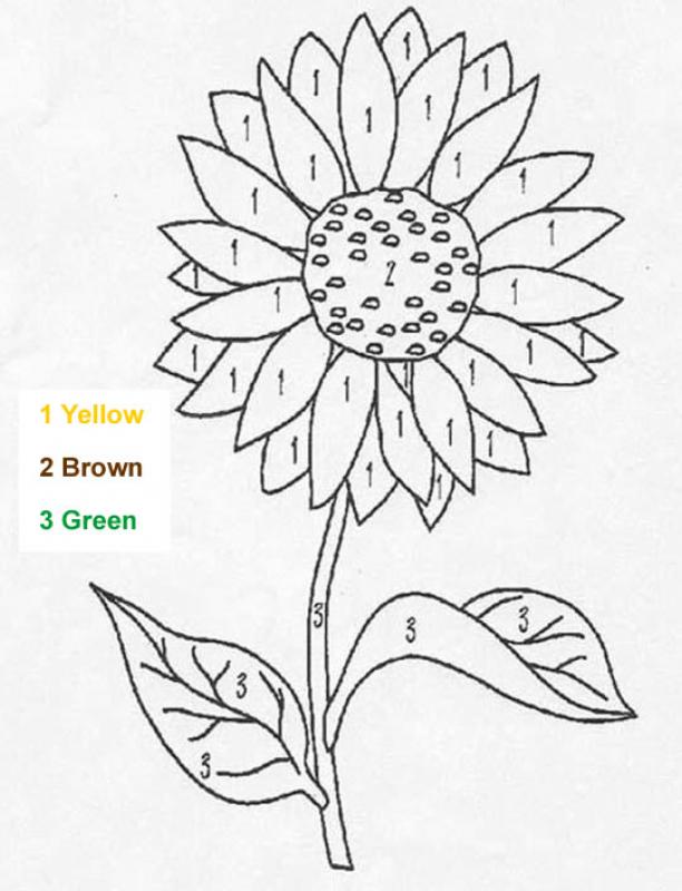 Pictures Of Flowers To Color