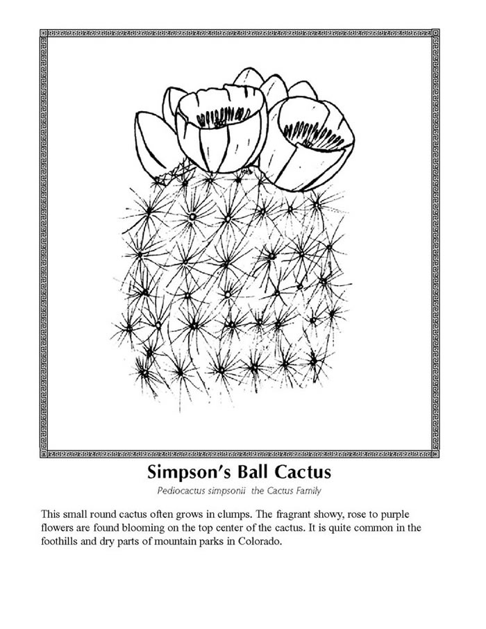 Pictures Of Flowers To Colour In For Children