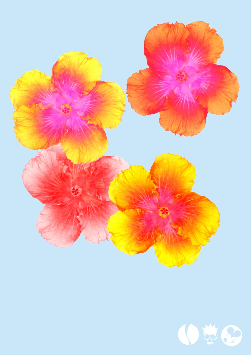 Pictures Of Flowers To Print