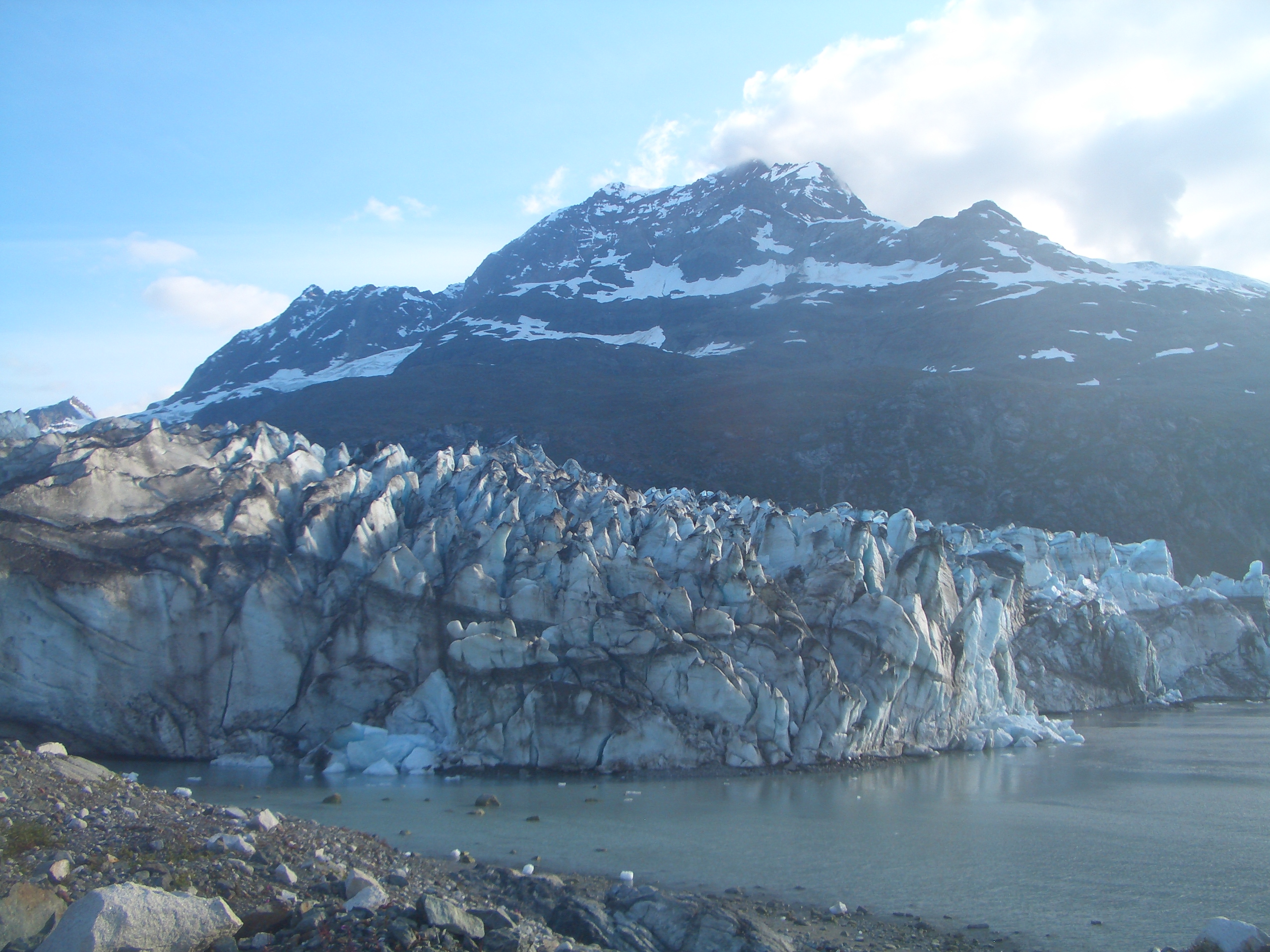 Pictures Of Glacier Bay Alaska