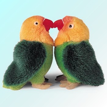 Pictures Of Love Birds