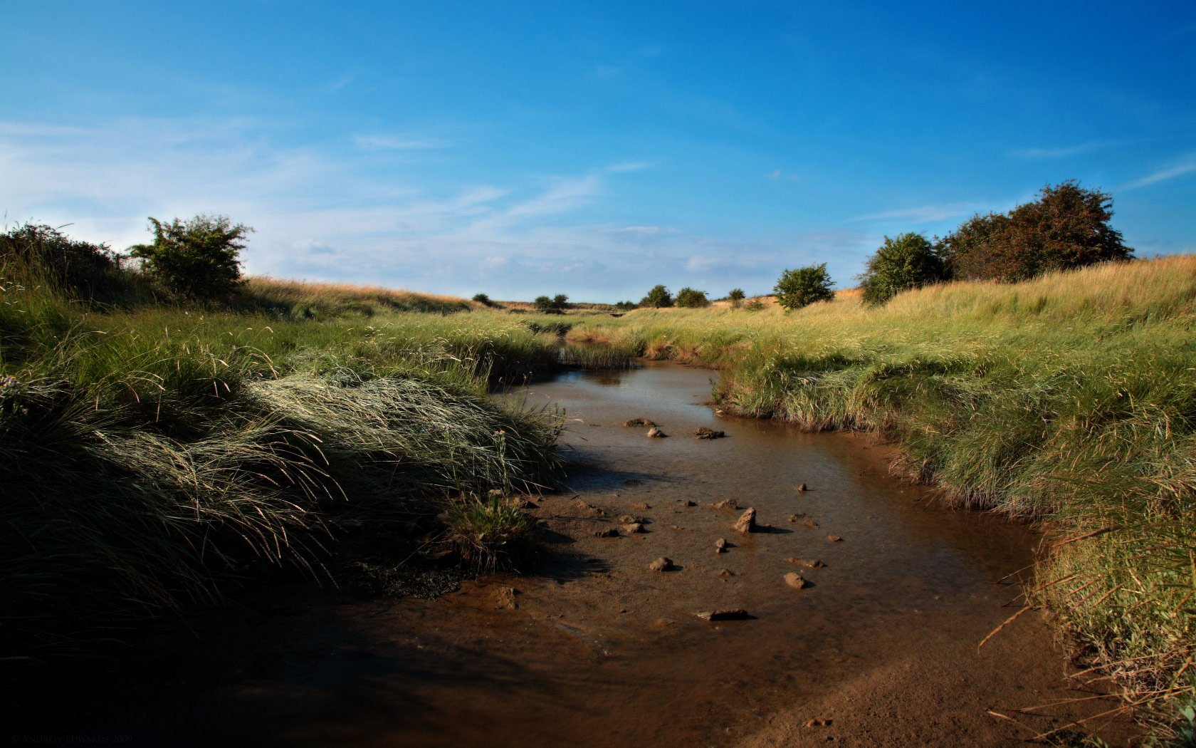 Pictures Of Nature Scenery