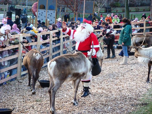 Pictures Of Santa Claus And His Reindeer