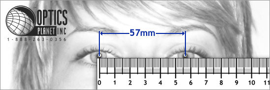 Printable Ruler Mm