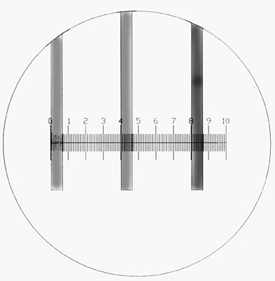 Printable Ruler Mm Actual Size