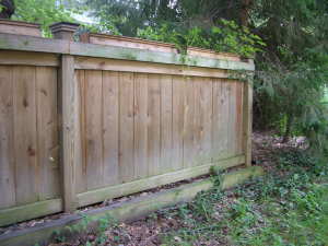 Privacy Fence Designs Photos