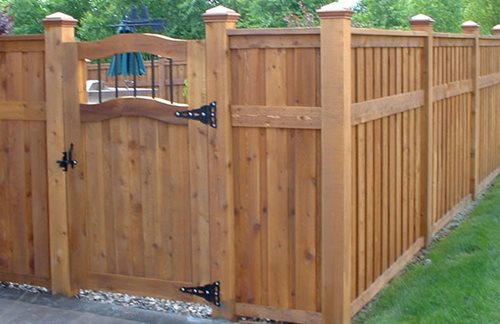 Privacy Fence Ideas Cheap