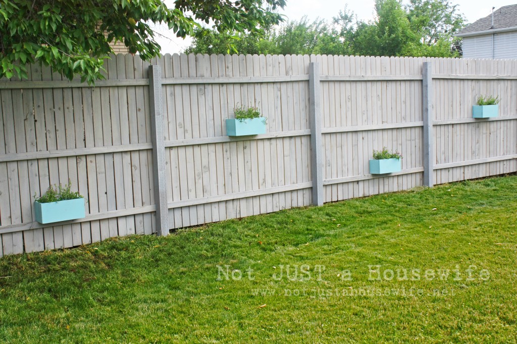 Privacy Fence Ideas Cheap