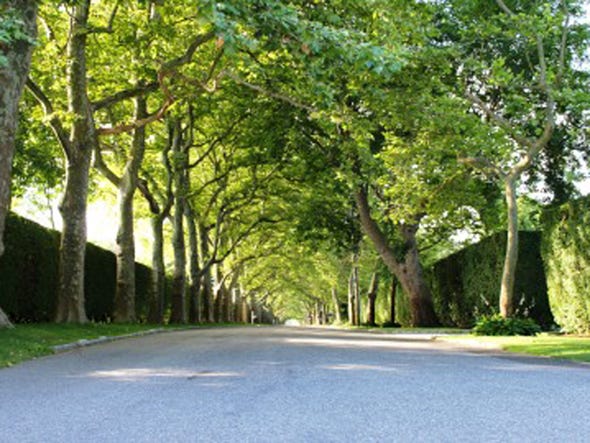 Privacy Hedges