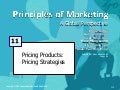 Product Mix Pricing Strategies Pdf