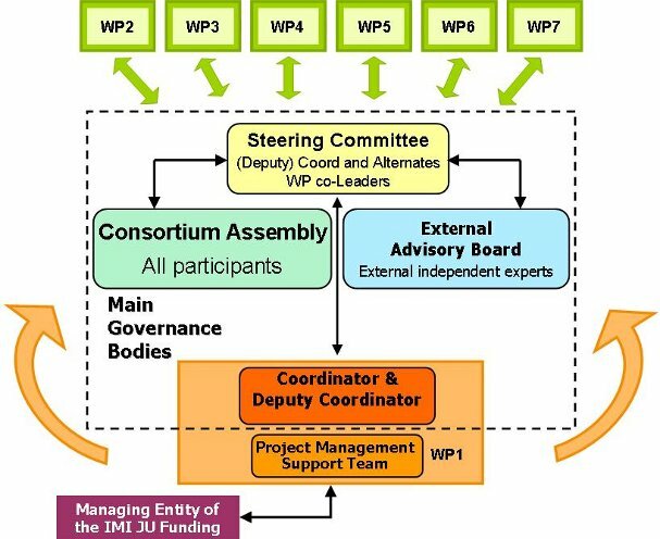 Project Governance Structure