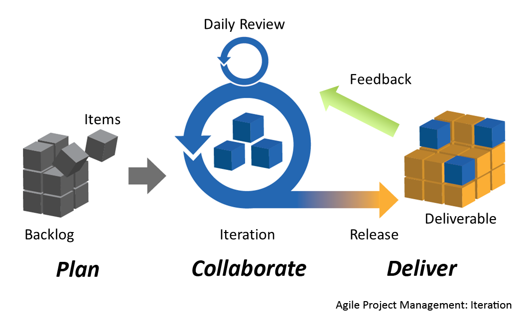 Project Management