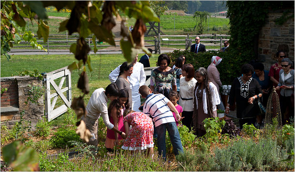 Promoting Healthy Eating For Children