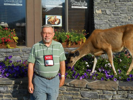 Ptarmigan Inn Banff